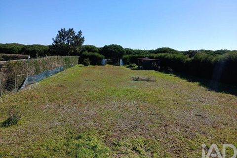 Terra a Odemira, Beja, Odemira - € 60.000 | Ref: 843462 - foto 7