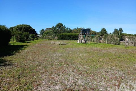 Terra a Odemira, Beja, Odemira - € 60.000 | Ref: 843462 - foto 8
