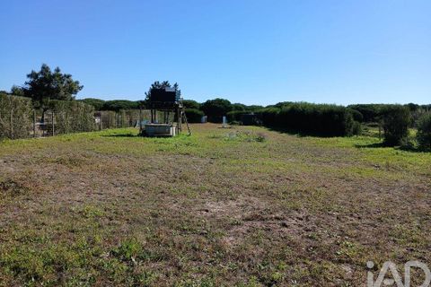 Terra a Odemira, Beja, Odemira - € 60.000 | Ref: 843462 - foto 10