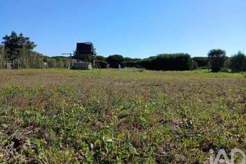 Terra a Odemira, Beja, Odemira - € 60.000 | Ref: 843462 - foto 11
