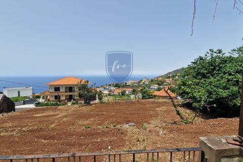 Tomt i Arco da Calheta, Madeira, Arco da Calheta - € 980 000 | Ref: F798 - foto 6