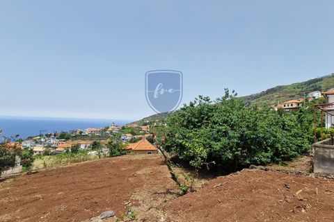 Tomt i Arco da Calheta, Madeira, Arco da Calheta - € 980 000 | Ref: F798 - foto 7