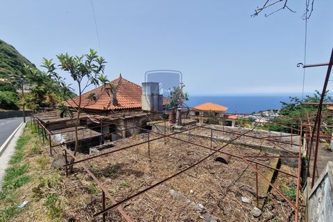 Tomt i Arco da Calheta, Madeira, Arco da Calheta - € 980 000 | Ref: F798 - foto 8