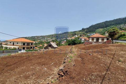 Tomt i Arco da Calheta, Madeira, Arco da Calheta - € 980 000 | Ref: F798 - foto 32