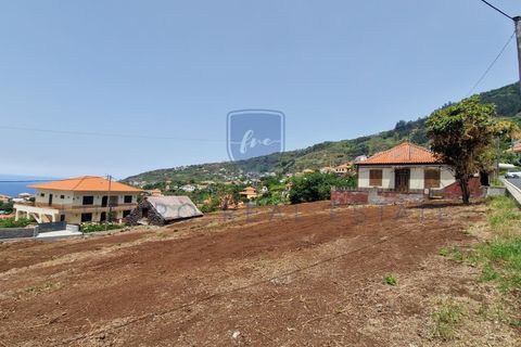 Tomt i Arco da Calheta, Madeira, Arco da Calheta - € 980 000 | Ref: F798 - foto 35