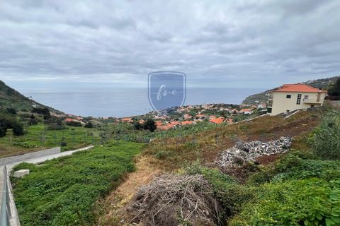 Tomt i Arco da Calheta, Madeira, Arco da Calheta - € 980 000 | Ref: F542 - foto 2