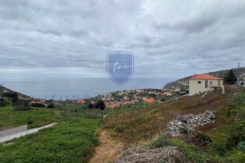 Tomt i Arco da Calheta, Madeira, Arco da Calheta - € 980 000 | Ref: F542 - foto 5