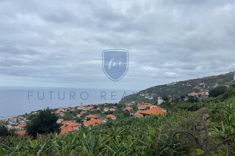 Tomt i Arco da Calheta, Madeira, Arco da Calheta - € 980 000 | Ref: F542 - foto 6