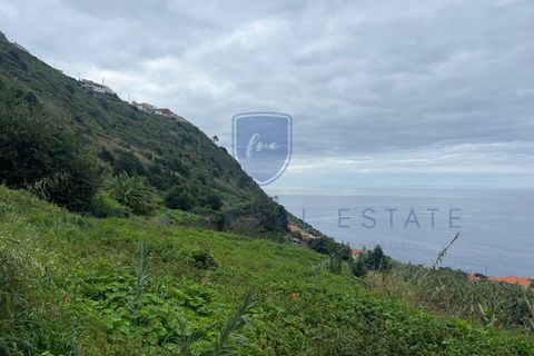 Tomt i Arco da Calheta, Madeira, Arco da Calheta - € 980 000 | Ref: F542 - foto 8