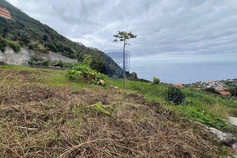 Tomt i Arco da Calheta, Madeira, Arco da Calheta - € 980 000 | Ref: F542 - foto 9