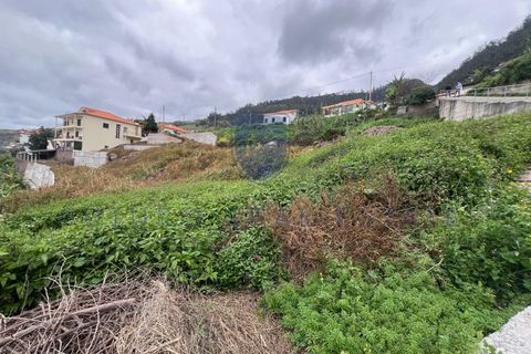 Tomt i Arco da Calheta, Madeira, Arco da Calheta - € 980 000 | Ref: F542 - foto 10