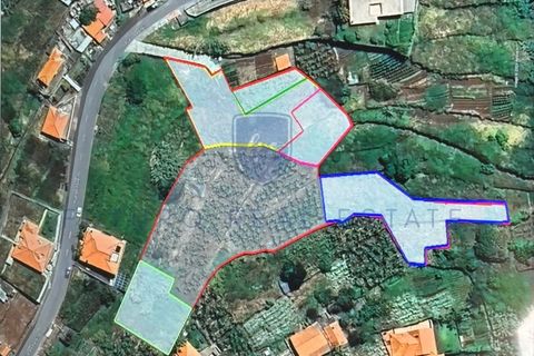 Tomt i Arco da Calheta, Madeira, Arco da Calheta - € 980 000 | Ref: F542 - foto 11