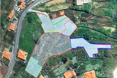 Tomt i Arco da Calheta, Madeira, Arco da Calheta - € 980 000 | Ref: F542 - foto 12