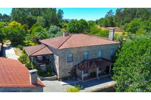 Farm i Ponte de Lima, Viana do Castelo, Ponte de Lima - € 950.000 | Ref: V020 - foto 3