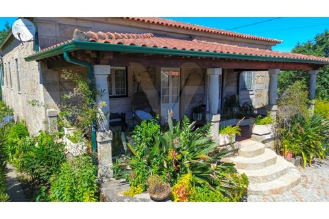 Farm i Ponte de Lima, Viana do Castelo, Ponte de Lima - € 950.000 | Ref: V020 - foto 6
