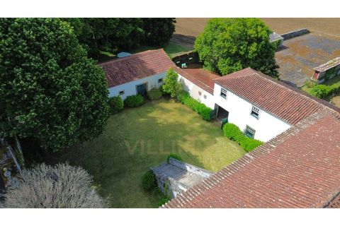 Farm i Ponte de Lima, Viana do Castelo, Ponte de Lima - € 1.700.000 | Ref: V490 - foto 3