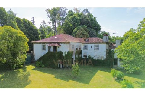 Farm i Ponte de Lima, Viana do Castelo, Ponte de Lima - € 1.700.000 | Ref: V490 - foto 4