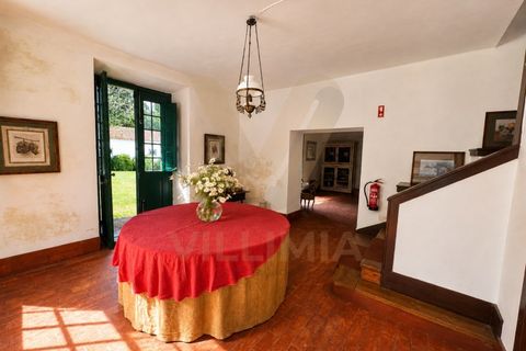 Farm i Ponte de Lima, Viana do Castelo, Ponte de Lima - € 1.700.000 | Ref: V490 - foto 7