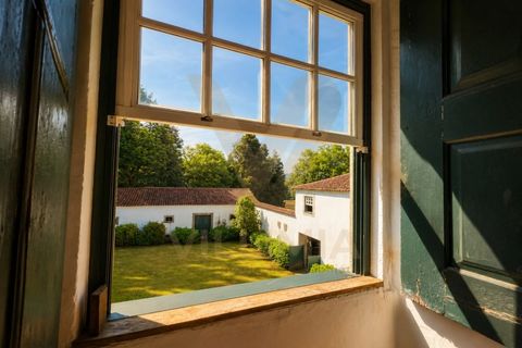 Farm i Ponte de Lima, Viana do Castelo, Ponte de Lima - € 1.700.000 | Ref: V490 - foto 40