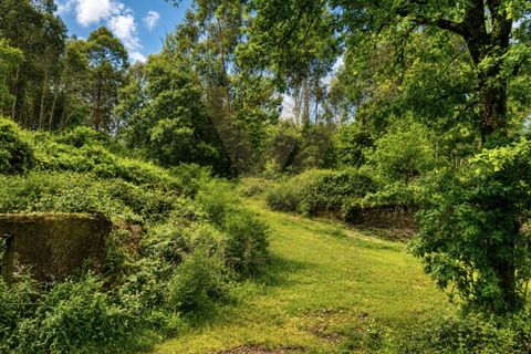 Ruinere i Gondufe, Viana do Castelo, Gondufe - € 65.000 | Ref: V475 - foto 4