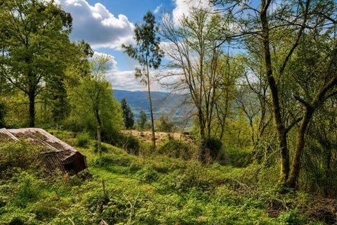 Ruinere i Gondufe, Viana do Castelo, Gondufe - € 65.000 | Ref: V475 - foto 7