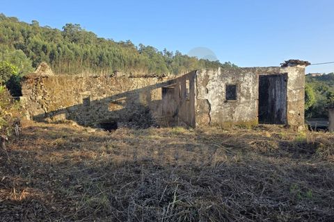 Landejendom i Ponte de Lima, Viana do Castelo, Ponte de Lima - € 59.000 | Ref: V332 - foto 2