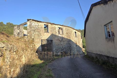 Landejendom i Ponte de Lima, Viana do Castelo, Ponte de Lima - € 59.000 | Ref: V332 - foto 8