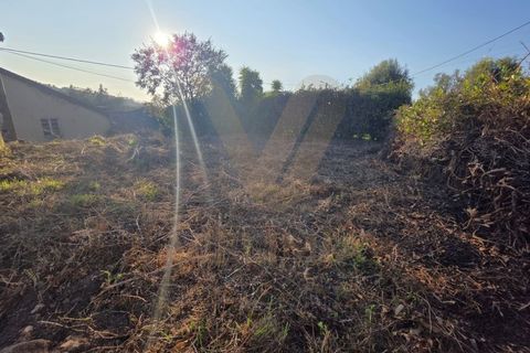 Landejendom i Ponte de Lima, Viana do Castelo, Ponte de Lima - € 59.000 | Ref: V332 - foto 16