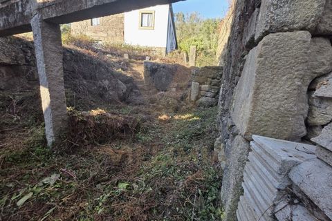 Landejendom i Ponte de Lima, Viana do Castelo, Ponte de Lima - € 59.000 | Ref: V332 - foto 18