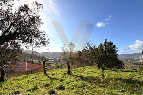 Landejendom i Ponte de Lima, Viana do Castelo, Ponte de Lima - € 155.000 | Ref: V419 - foto 20