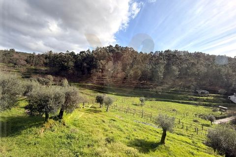 Landejendom i Ponte de Lima, Viana do Castelo, Ponte de Lima - € 155.000 | Ref: V419 - foto 21
