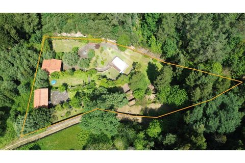 Landejendom i Ponte de Lima, Viana do Castelo, Ponte de Lima - € 245.000 | Ref: V474 - foto 3