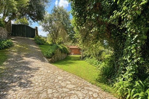 Landejendom i Ponte de Lima, Viana do Castelo, Ponte de Lima - € 245.000 | Ref: V474 - foto 7
