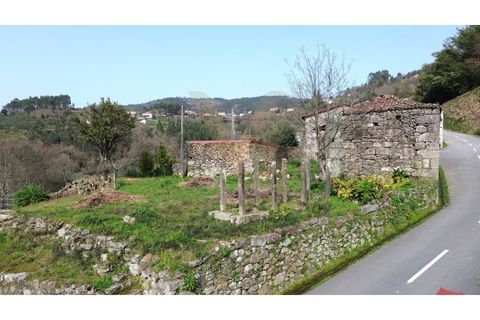 Landejendom i Ponte de Lima, Viana do Castelo, Ponte de Lima - € 90.000 | Ref: V429 - foto 6