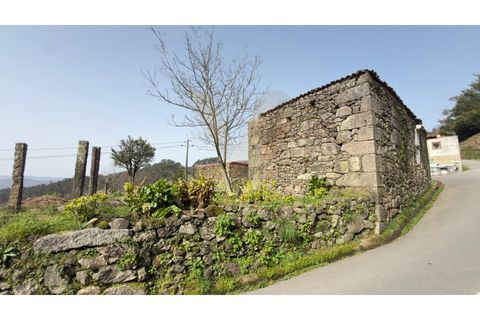 Landejendom i Ponte de Lima, Viana do Castelo, Ponte de Lima - € 90.000 | Ref: V429 - foto 13