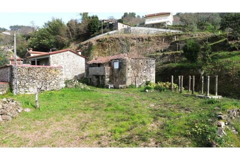 Landejendom i Ponte de Lima, Viana do Castelo, Ponte de Lima - € 90.000 | Ref: V429 - foto 14