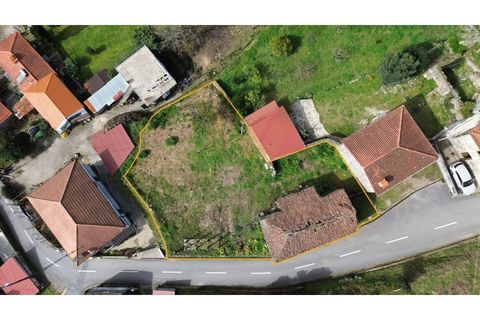 Landejendom i Ponte de Lima, Viana do Castelo, Ponte de Lima - € 90.000 | Ref: V429 - foto 15