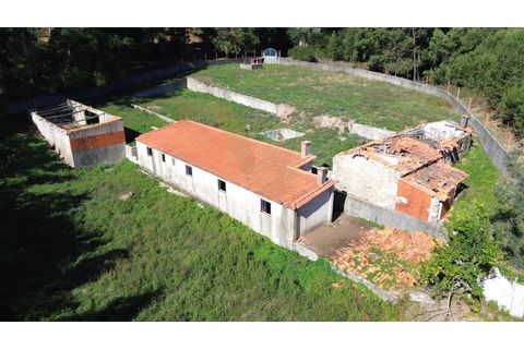 Landejendom i Ponte de Lima, Viana do Castelo, Ponte de Lima - € 99.000 | Ref: V343 - foto 4