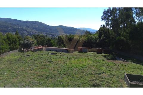Landejendom i Ponte de Lima, Viana do Castelo, Ponte de Lima - € 99.000 | Ref: V343 - foto 5