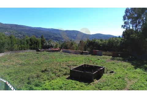 Landejendom i Ponte de Lima, Viana do Castelo, Ponte de Lima - € 99.000 | Ref: V343 - foto 7