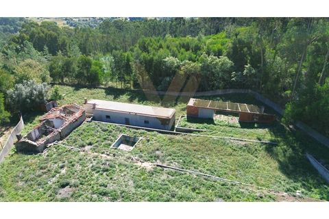 Landejendom i Ponte de Lima, Viana do Castelo, Ponte de Lima - € 99.000 | Ref: V343 - foto 8