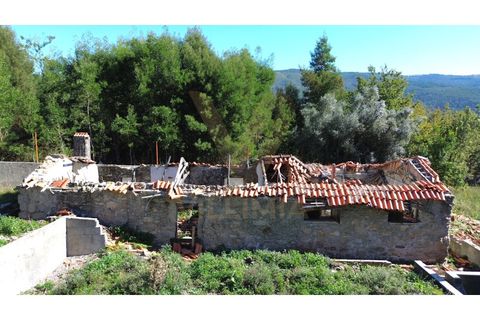 Landejendom i Ponte de Lima, Viana do Castelo, Ponte de Lima - € 99.000 | Ref: V343 - foto 11