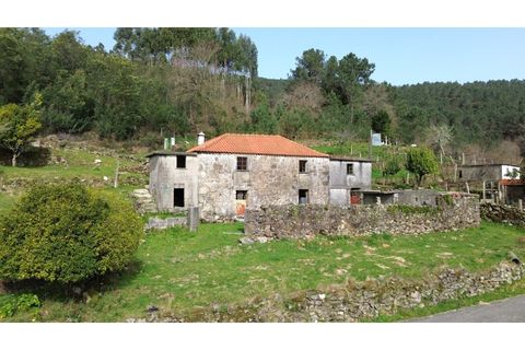 Landejendom i Ponte de Lima, Viana do Castelo, Ponte de Lima - € 117.000 | Ref: V428 - foto 8