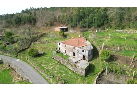 Landejendom i Ponte de Lima, Viana do Castelo, Ponte de Lima - € 117.000 | Ref: V428 - foto 9