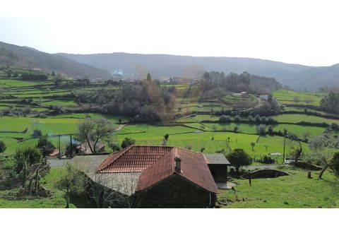 Landejendom i Ponte de Lima, Viana do Castelo, Ponte de Lima - € 117.000 | Ref: V428 - foto 11