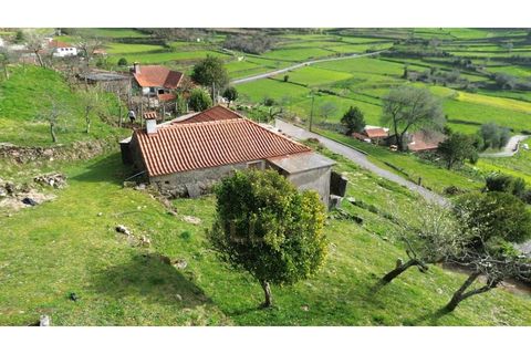 Landejendom i Ponte de Lima, Viana do Castelo, Ponte de Lima - € 117.000 | Ref: V428 - foto 12