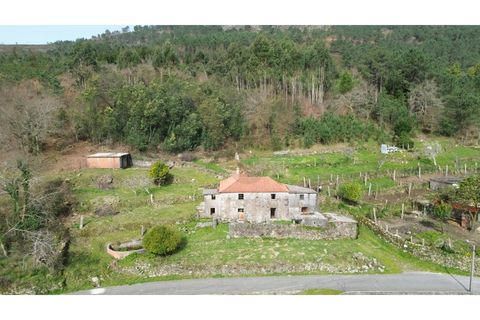 Landejendom i Ponte de Lima, Viana do Castelo, Ponte de Lima - € 117.000 | Ref: V428 - foto 13