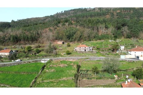 Landejendom i Ponte de Lima, Viana do Castelo, Ponte de Lima - € 117.000 | Ref: V428 - foto 21