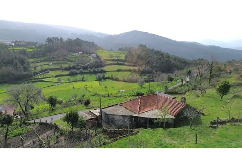 Landejendom i Ponte de Lima, Viana do Castelo, Ponte de Lima - € 117.000 | Ref: V428 - foto 22