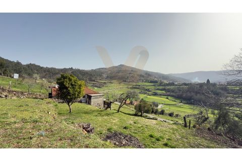 Landejendom i Ponte de Lima, Viana do Castelo, Ponte de Lima - € 117.000 | Ref: V428 - foto 26